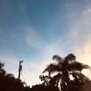 Meet your Posher, Mallori